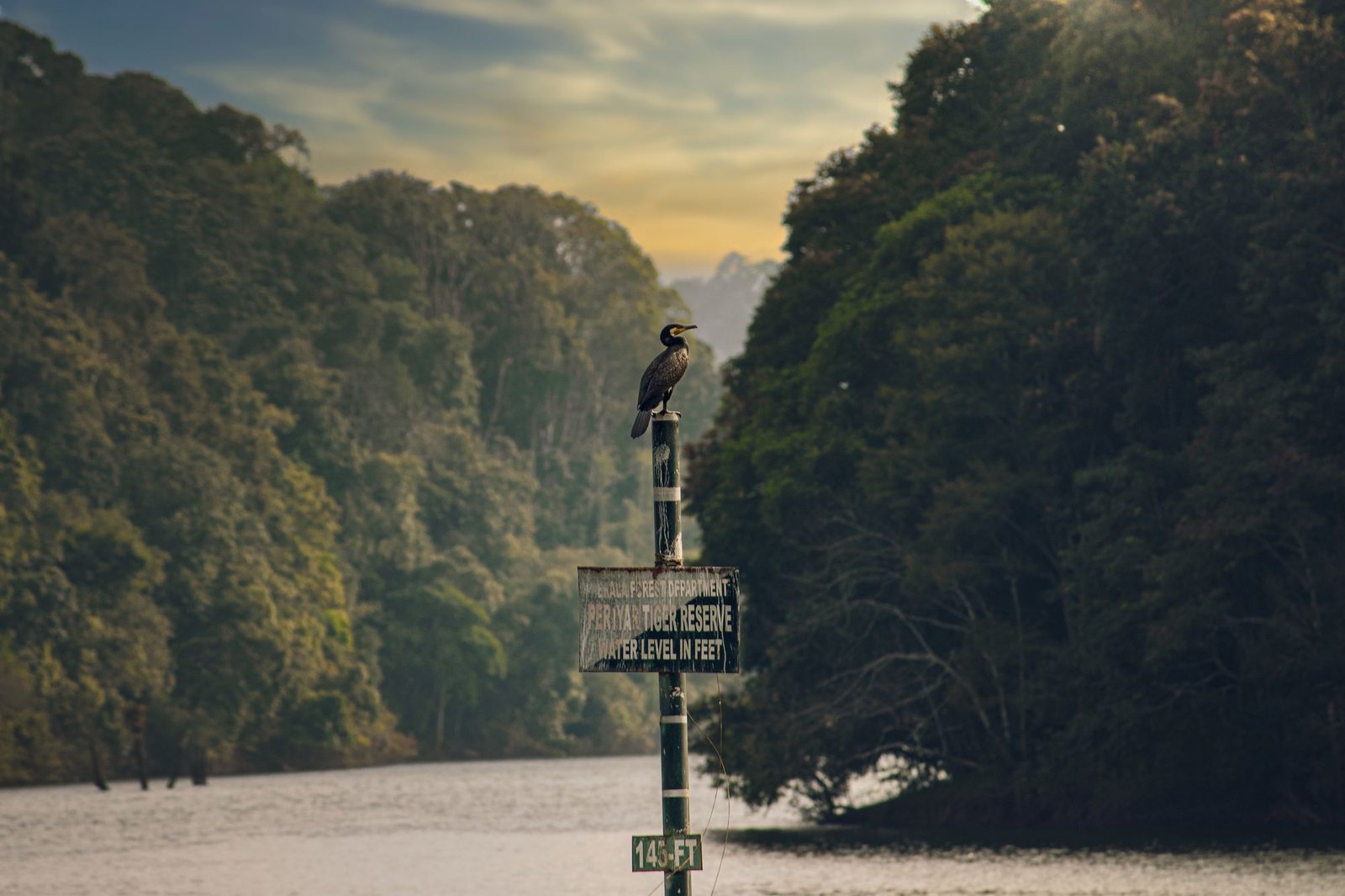 Thekkady, Kerala