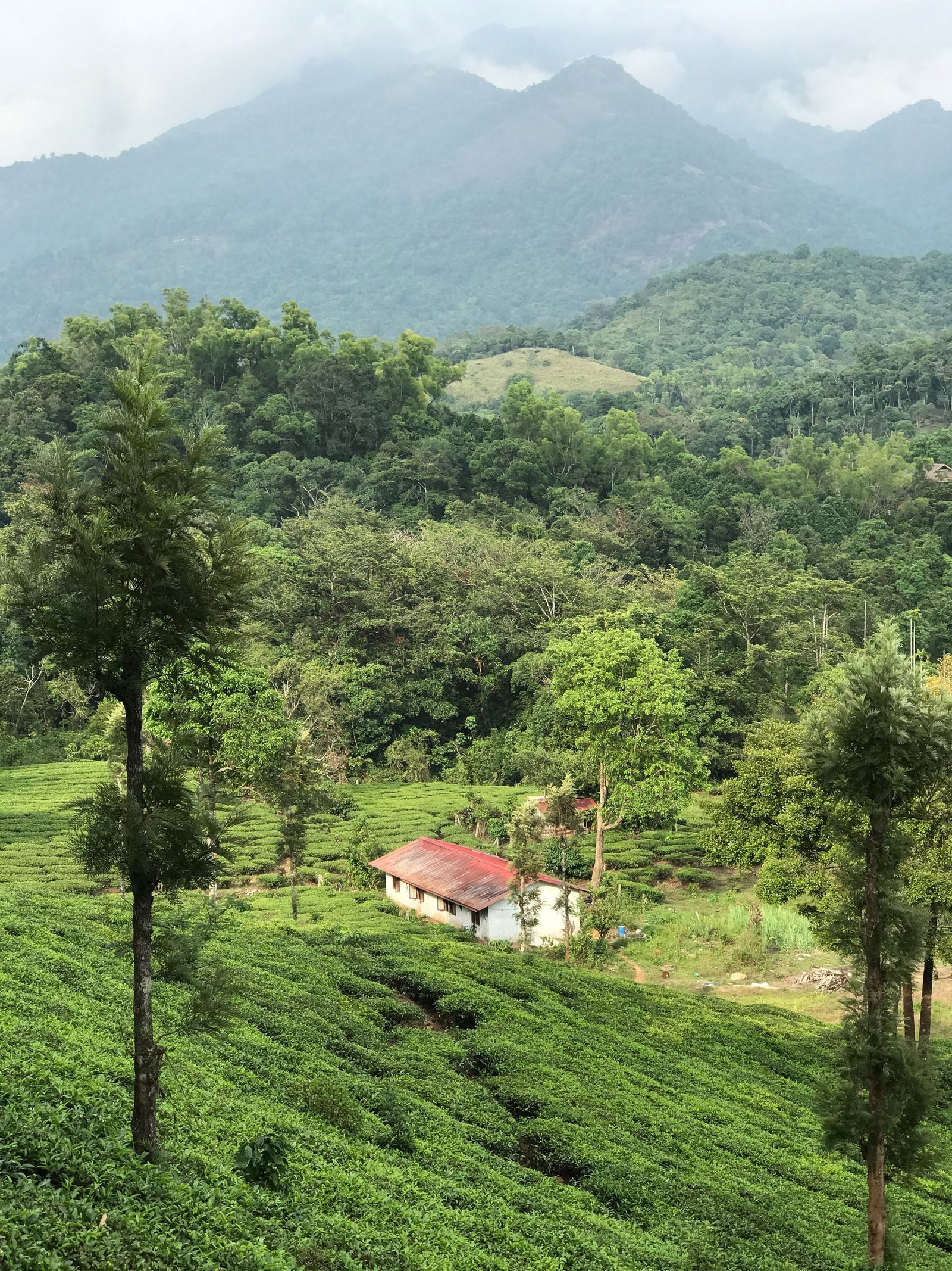 Wayanad, Kerala