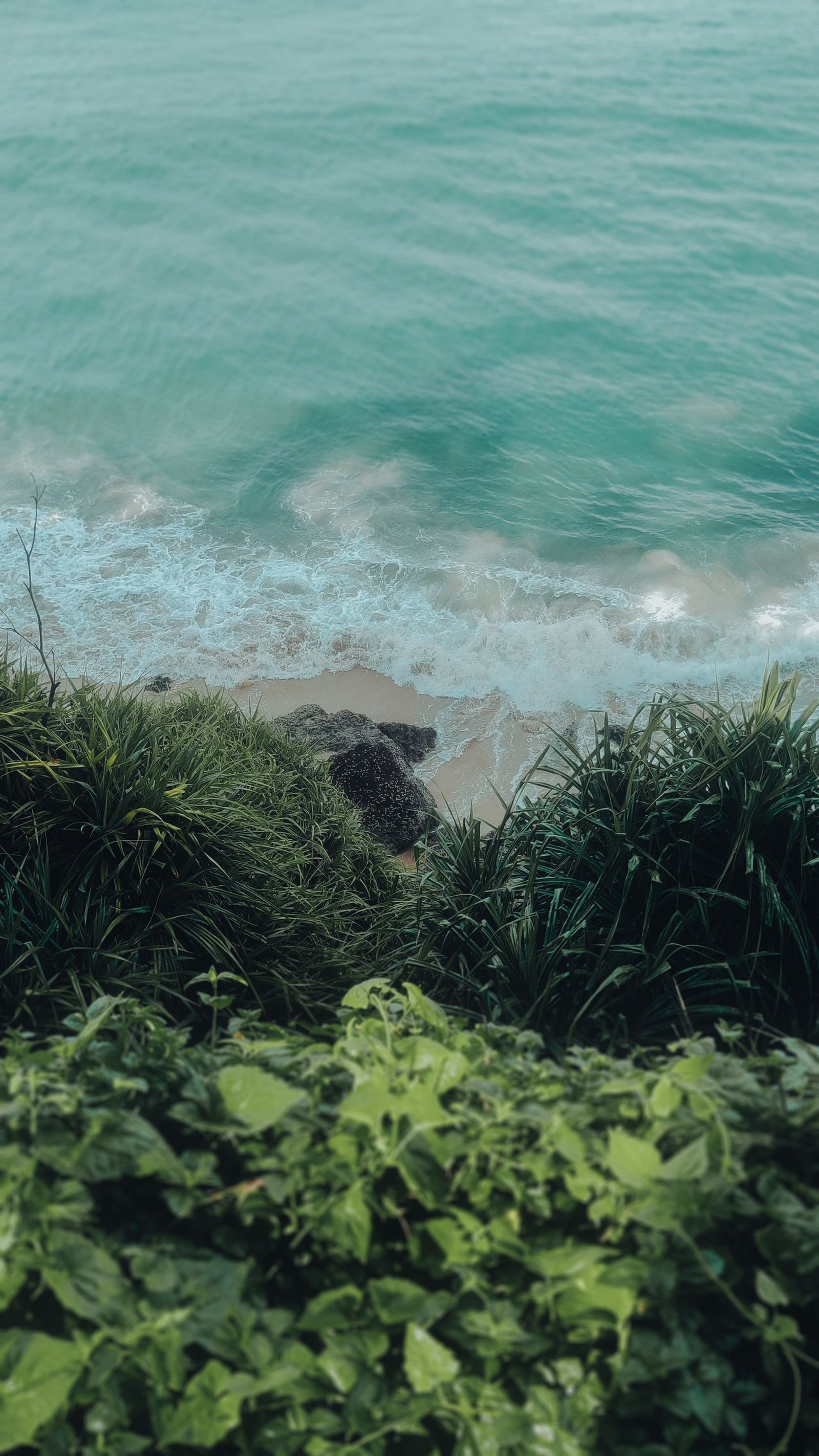 Crown and Coast - Kovalam, Kerala