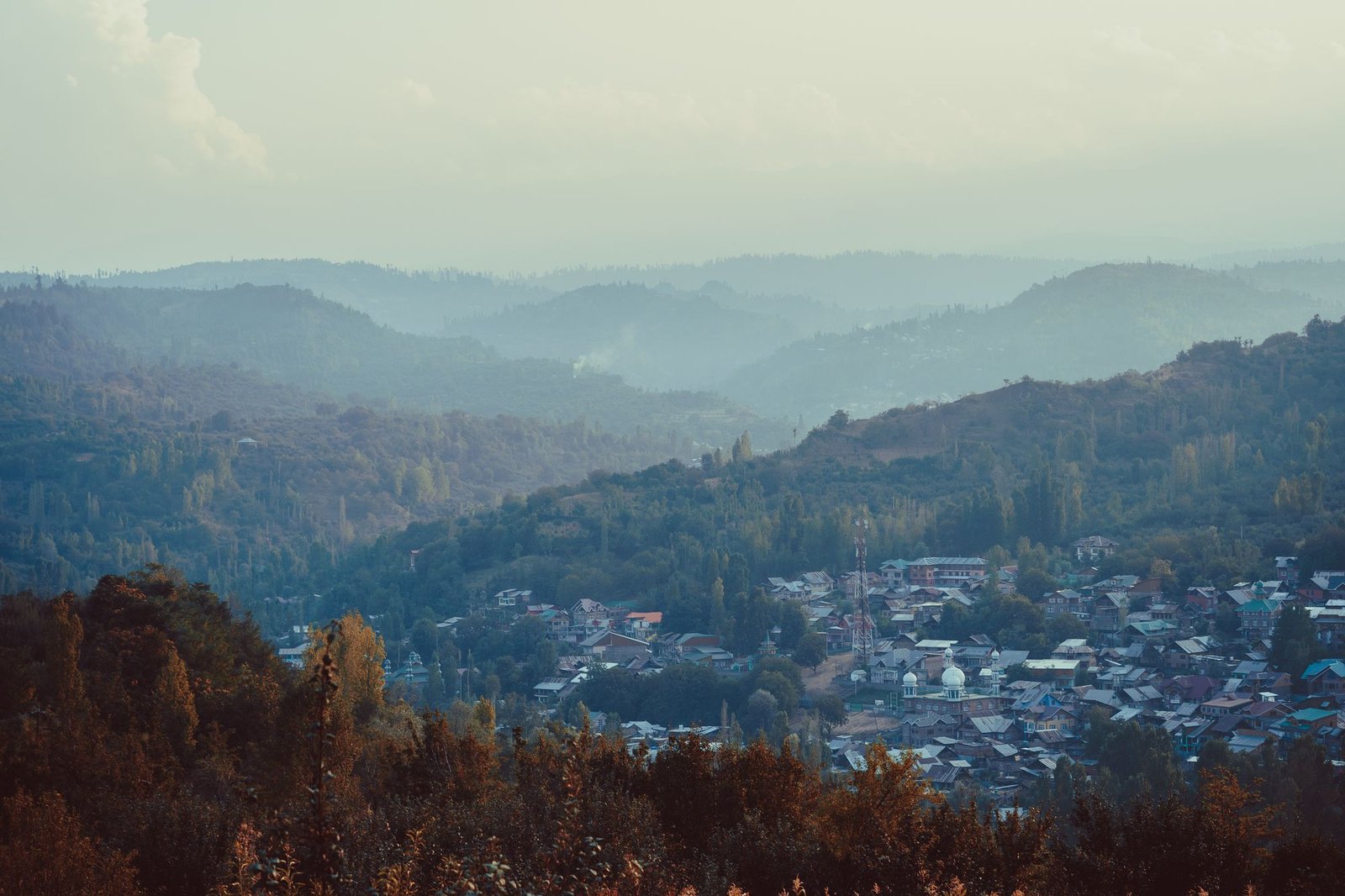 High Range Honeymoon - Munnar, Kerala