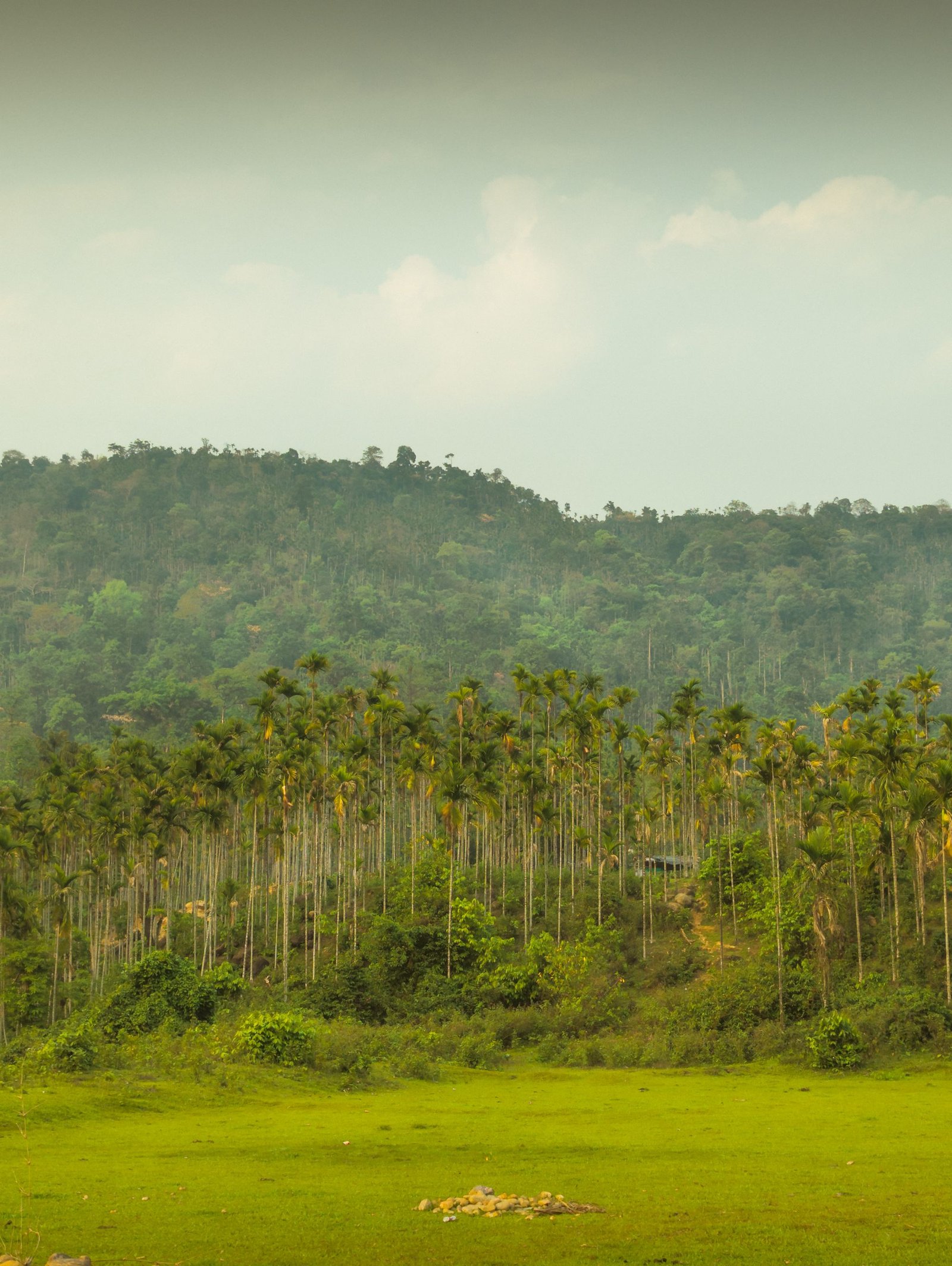 Spice Route Passage - Thekkady, Kerala