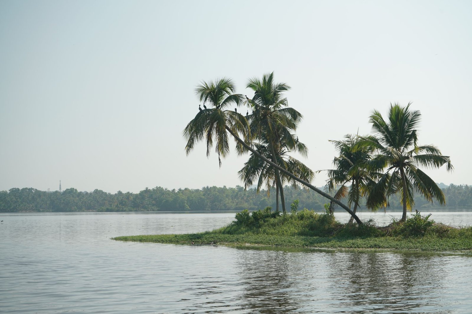 Two on the Water - Alleppey, Kerala